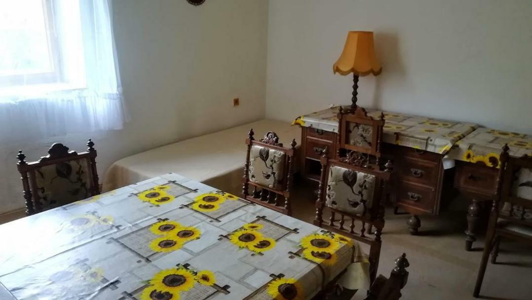 Pronajem Pokoju Belle Vue Apartment วรานอฟ นาด ดิยี ภายนอก รูปภาพ