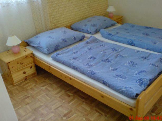 Pronajem Pokoju Belle Vue Apartment วรานอฟ นาด ดิยี ภายนอก รูปภาพ